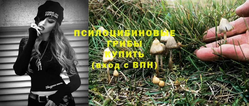 Галлюциногенные грибы Magic Shrooms  Бобров 